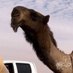 بـندر بــن مـحـمد . (@ii60iw) Twitter profile photo بـندر بــن مـحـمد . (@ii60iw) Twitter profile photo