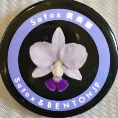 satoh様 13-18-kawasaki-zx-6r-sato-