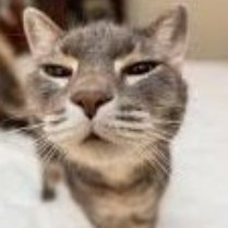 i don't use twitter anymore don't take any of my previous tweets as a perception of who i am as a current person