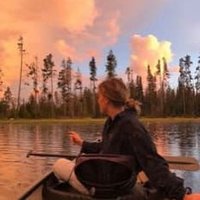 Freashoyl (@freashoyllmjmz) 's Twitter Profile