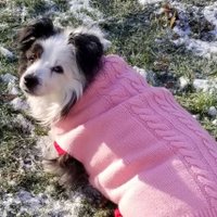 Cathy_G🌼🐾♎️🐕 (@pnw_desert_sw) 's Twitter Profile