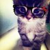 :3 (@notaudwee) Twitter profile photo :3 (@notaudwee) Twitter profile photo