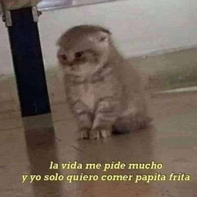 2003Keyler's profile picture. 