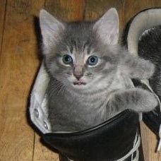 Mor1ngo_'s profile picture. como meche nessa porra