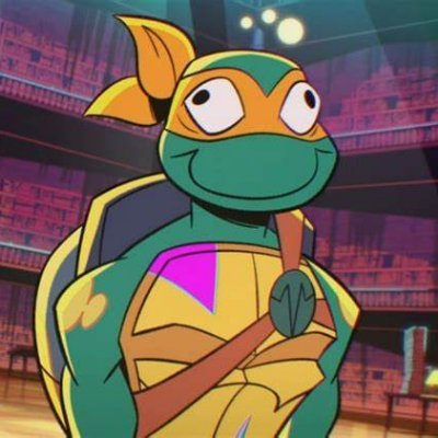 turtles 💚 | (She/her) | I barely post here at all