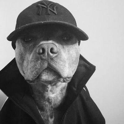 Azubuike93's profile picture. Life is a risk carnal 👊🏾