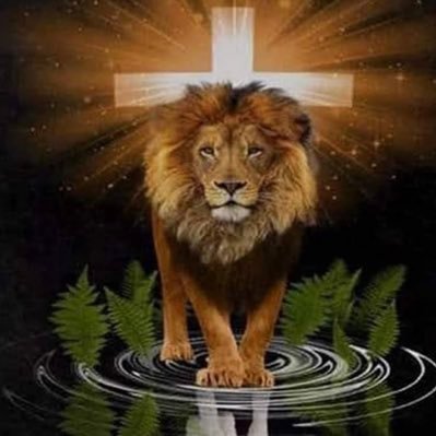 Comet4547's profile picture. 