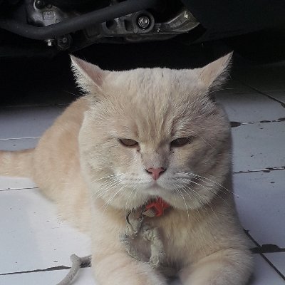 demenjoran99103's profile picture. 