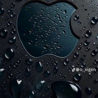 Hesham Kapo (@heshamkapo9) 's Twitter Profile