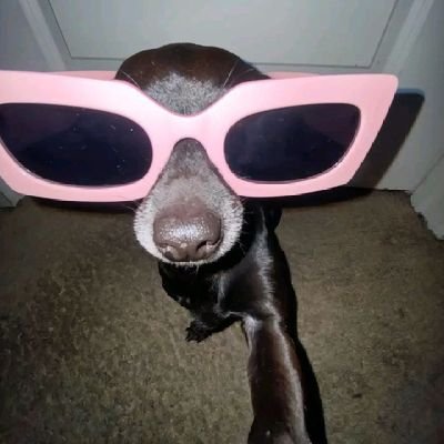 Ystarsx_'s profile picture. ;)