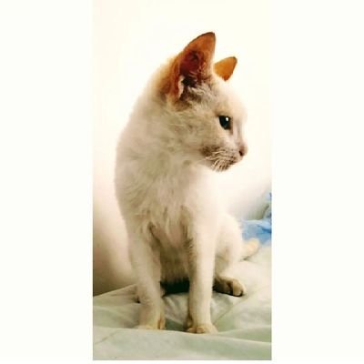 grecia_marga's profile picture. 