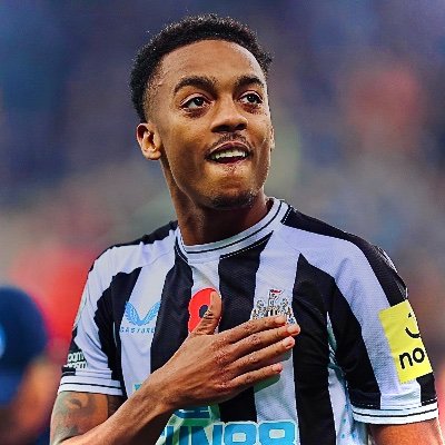 WillockFan28's profile picture. 