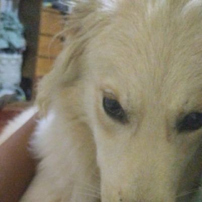 Antes allá ahora aquí, pero siempre sibarita de las artes, maestro de lo desconocido y altivo servidor.