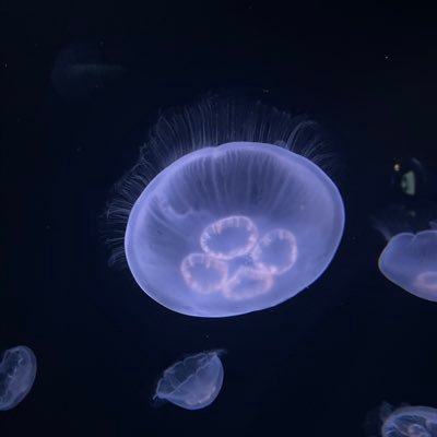 fRBYBEe7dpe3lsn's profile picture. 