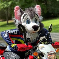 Motorcycle Dog (@shane_deepwood) 's Twitter Profile Photo Motorcycle Dog (@shane_deepwood) 's Twitter Profile Photo