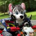 Motorcycle Dog (@shane_deepwood) Twitter profile photo Motorcycle Dog (@shane_deepwood) Twitter profile photo