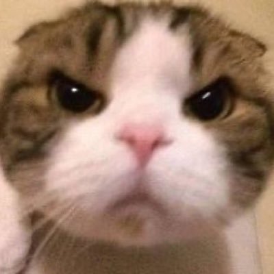 yea3_o Profile Picture