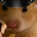 ham (@dogwitcocaine) Twitter profile photo ham (@dogwitcocaine) Twitter profile photo