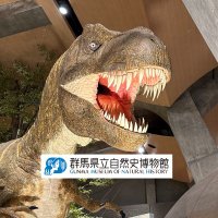 群馬県立自然史博物館（@Gunma_Shizenshi） (@gunma_shizenshi) Twitter profile photo