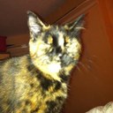 jan - @jan_walls - Twitter