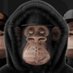 Steve Enderson (@endersonst48809) Twitter profile photo Steve Enderson (@endersonst48809) Twitter profile photo