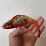 q61Mab8S3l6OJbV's profile picture. 生き物🐍
筋トレ好き💪