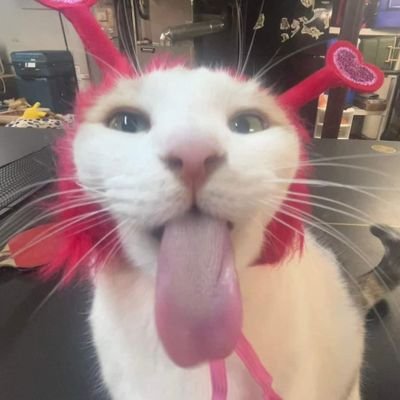 .???さんのプロフィール画像