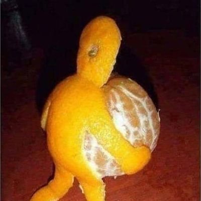 ze_sxng's profile picture. .