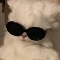 γγ‘γγπ¬ (@_loxk) 's Twitter Profile