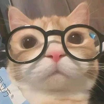 SoyMicro323's profile picture. ¿Que haces aquí? Debes estar muy aburrido para estar en mi perfil