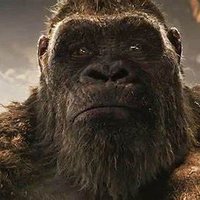 king kong (@kingkong_lonly) 's Twitter Profile