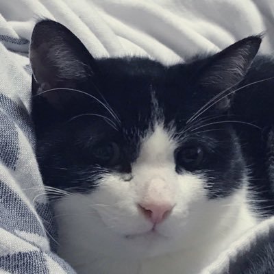 動かない心臓（ただのスロカス）さんのプロフィール画像