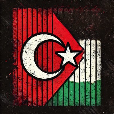AdaletFilistin's profile picture. Dünya Gazze'yi görmezden geldiğinde biz onların yanında olmalıyız. Dünyada adaleti savunan tek bir ülke kaldıysa, o ülke biz olacağız!!!