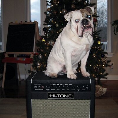 HI TONE Amps HI TONE Amps X