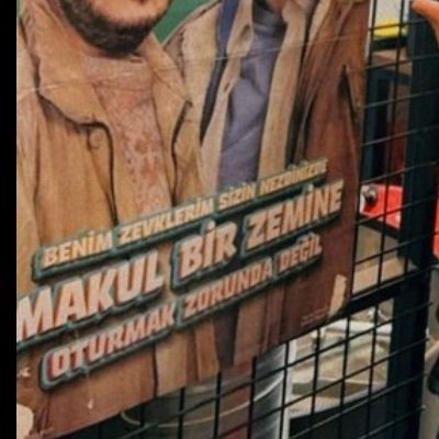 AloCbs's profile picture. 