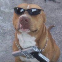 bonkers honkers (@xhorehound) 's Twitter Profile Photo bonkers honkers (@xhorehound) 's Twitter Profile Photo