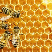 thebalkanbruja's profile picture. ☯️