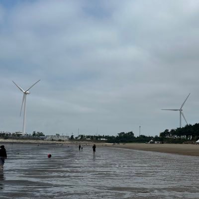 JungtaeP's profile picture. 행복, 목적의식, 모델Y 운전자