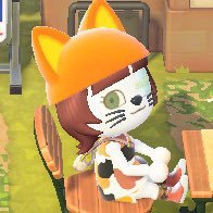 🐱いずも🐱 (@izumo_mochihiza) Twitter profile photo