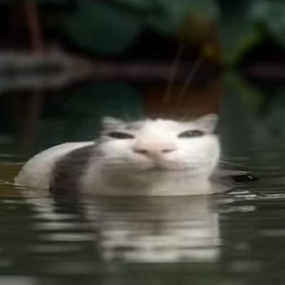 kayla1_9's profile picture. 