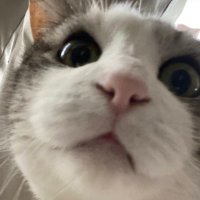 お湯©︎ 0921ろっきん (@83o_o_) 's Twitter Profile