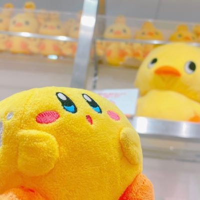 ぴざ🐥 (@22pizza_2) / Posts / X