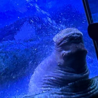 どでかまるさんのプロフィール画像