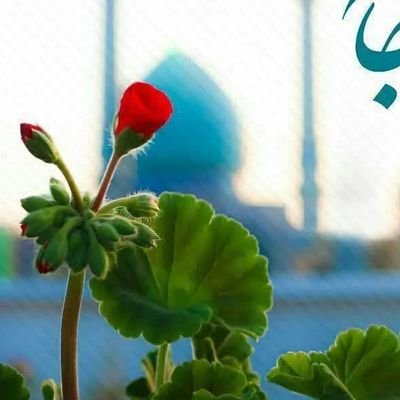f_dido24473's profile picture. فالو کنید با افتخار بک میدم🥰✋🏼

روانشناس 📚

🪐🌈گر نگه دار من آنست که من می دانم 🌸 شیشه را در بغل سنگ نگه میدارد🌸
حالا ک تا اینجا اومدی یه#صلوات بفرس✨🍀