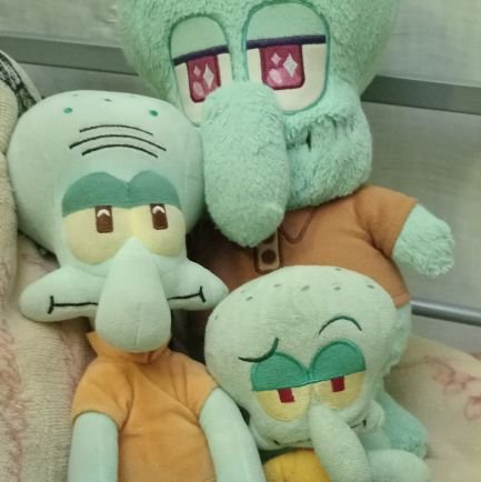 Lizさんのプロフィール画像