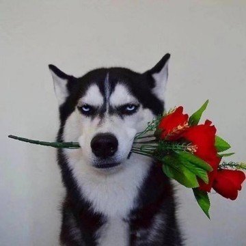 dong_tian31923's profile picture. 
