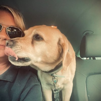 My dog is my world, #Marketer #labrador #singlelife #design #interior #colour #jenniferandjeffrey #dogmum #paint #furniture