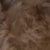 chris (@chriss76847268) Twitter profile photo chris (@chriss76847268) Twitter profile photo