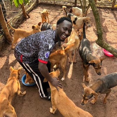 RDogs94947's profile picture. if we all stand we can fight hunger and save lives join me in this course 🆘🥹🐾🙏. The donation go direct to the donation