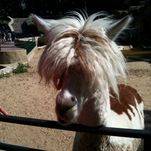 _4F_PuNcKy's profile picture. 